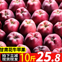 甘肃天水花牛苹果水果新鲜当季整箱带箱10斤红蛇果粉面大平果【三天内发货】