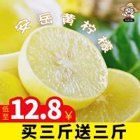 安岳柠檬皮薄多汁柠檬水果新鲜特价柠檬整箱现摘现发6斤[三天内发货]