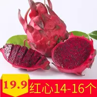 广西红心火龙果14-16个迷你果新鲜当季水果5斤实惠装热带水果[三天内发货]