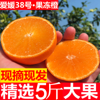 现摘新鲜水果爱媛38号果冻橙四川橘橙手剥橙子非脐橙柑橘5斤[三天内发货]