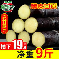 广西黑皮甘蔗水果新鲜8-9斤甜脆多汁现现发应当季带箱10斤整根[三天内发货]