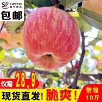 十斤陕西红富士苹果新鲜不打蜡水果当季脆甜吃的整箱烟台栖霞[三天内发货]