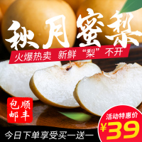 10斤仅32.8秋月梨共10斤自家应季甜水果非莱阳梨库尔勒香梨[三天内发货]