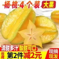 杨桃5斤装大果新鲜水果当季水果热带水果孕妇水果红龙阳桃【三天内发货】