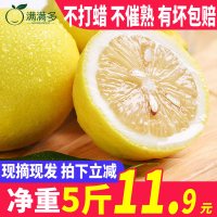 安岳柠檬新鲜皮薄水果新鲜整箱柠檬批发净重5斤[三天内发货]
