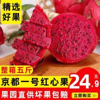 广西京都一号红心火龙果 新鲜带箱5斤红肉当季水果整箱现摘[三天内发货]