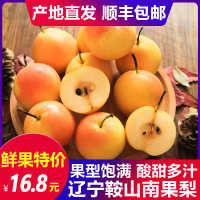[顺丰]辽宁鞍山南果梨5斤新鲜水果东北特产香水南国梨子[三天内发货]