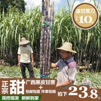 正宗广西黑皮甘蔗10斤新鲜水果现现发当季孕妇整根甘蔗带箱[三天内发货]