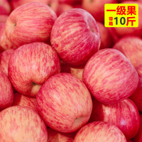 烟台红富士苹果水果新鲜栖霞脆甜应季现摘山东当季带整箱10斤【三天内发货】