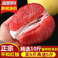 精选10斤管溪平和红心柚子水果新鲜福建当季现摘红肉蜜柚西柚[三天内发货]