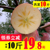 苹果水果红富士丑冰糖心新鲜当季山西大现摘现发带箱10斤甜脆[三天内发货]
