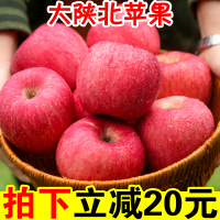 新鲜脆甜陕西洛川红富士苹果水果正宗冰糖心萍果批发10斤装【三天内发货】