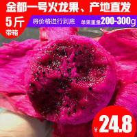 火龙果红心新鲜水果5斤装带箱广西金都一号红肉非海南蜜宝[三天内发货]
