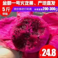 火龙果红心新鲜水果5斤装带箱广西金都一号红肉非海南蜜宝[三天内发货]