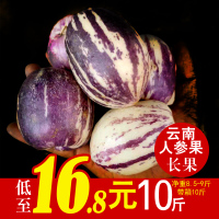 人参果 云南特产新鲜水果现摘现发带箱10斤特价[三天内发货]