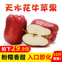 甘肃花牛苹果水果新鲜天水当季整箱粉面刮泥10斤红蛇果小果带箱【三天内发货】