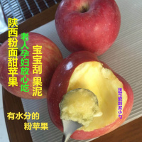 10斤花牛苹果粉面沙甜苹果宝宝刮泥婴儿老人吃的新鲜水果【三天内发货】