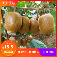 30枚装仅19.9]绿心猕猴桃应季新鲜水果孕妇奇异果当季整箱狝猴批发[三天内发货]