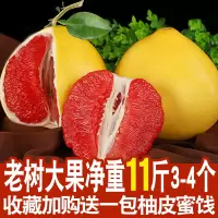 福建柚子新鲜红肉柚子10斤带箱平和管溪红心柚子红肉蜜柚水果[三天内发货]