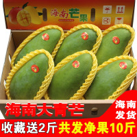 净果10斤装 海南特大芒果 当季新鲜水果青皮澳芒三亚芒果大青芒[三天内发货]
