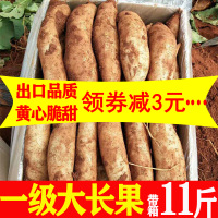 雪莲果新鲜红心特级10斤大果一级心云南天山红泥沙现挖水果[三天内发货]