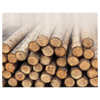 防汛木桩 3米 5米