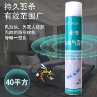 750毫升大容量清香型杀虫气雾剂家用无味喷雾剂苍蝇蚊子蟑螂跳蚤灭害灵1瓶批发