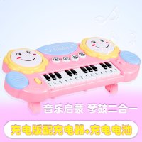 儿童电子琴玩具初学宝宝钢琴音乐0-1-3岁男女孩婴儿小孩益智玩具 公主粉充电版