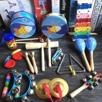 奥尔夫打击乐器组合 幼儿园小学生早教儿童乐器套装 启蒙音乐玩具 新奥尔夫蓝鱼19件套