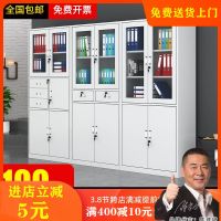 办公文件柜铁皮资料柜财务档案凭证柜带锁柜子铁柜矮柜储物更衣柜