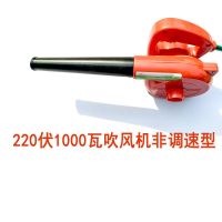 车载大功率12v24伏吸吹风机收割鼓烧烤电瓶电脑除尘器家用小型|220伏1000瓦吹风机