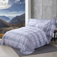 遮灰布防尘布遮盖布遮灰尘布盖家具的防尘布家居防尘布罩盖布家用|浅绿色格调人生-新款 3x2.4米盖1.5米床和靠背