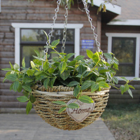 塑料多肉吊盆悬挂式吊兰创意个性绿萝大号自动吸水盆垂吊