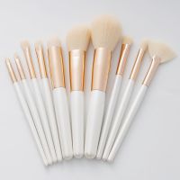 高颜值粉刷眼影刷腮红刷套刷学者全套化妆刷套装软毛一套刷|纯真白(裸刷)