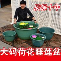 睡莲碗莲花特大号专用塑料缸家用庭院圆形加厚水培无孔荷