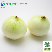 燎原黄皮圆葱洋葱 基地自种无农残 安全营养放心蔬菜 4斤顺丰