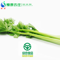 燎原绿色芹菜 当天现割 新鲜无农残安全营养蔬菜 3斤顺丰