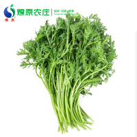 燎原绿色茼蒿 基地自种国家绿色认证新鲜蔬菜无农残 3斤顺丰