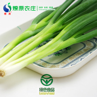 燎原绿色香葱小葱 绿葱青葱葱秧蘸酱菜带根现挖新鲜2斤顺丰