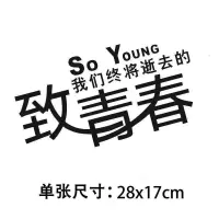 车贴纸创意文字车身机盖后窗后档尾标划痕贴装饰遮盖个性创意大号 致青春28*17cm黑色单张