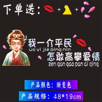 晚点遇见你天窗车贴创意新款网红个性励志文字后档玻璃汽车贴纸 盖世英雄[一介平民]送嘴唇+花瓣