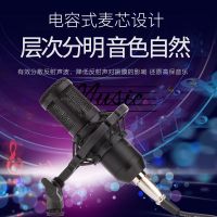 唱歌专用bm800大振膜电容麦克风电脑k歌神器yy主播录音话筒