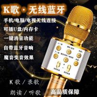 麦克风话筒音响神器无线蓝牙手机唱歌自带扩音器专用音箱