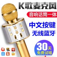 麦克风手机声卡k歌神器无线家用话筒音响一体中文
