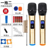 万能无线话筒家用麦克风一拖二u段ktv唱歌先科新科金正音响通用 TV-1200黑头双咪