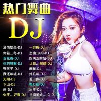 车载音乐u盘流行中文dj音质无损清mp4车用优盘|32G精选(DJ歌曲+DJ私房视频)