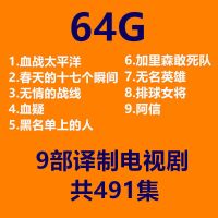 加里森敢死队u盘32g国外译制电视剧引进翻译片usb优盘国语发音mp4|64GB9部译制电视剧共491集