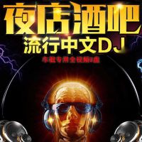 车载音乐u盘dj清视频酒吧夜店热门中文dj歌曲mv黑胶优盘|16G170部视频DJ+90音频DJ