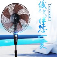 电风扇家用台式落地扇大风扇立式电扇静音台扇学生宿舍机械式