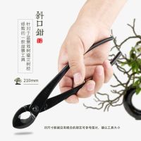 球节剪球形剪树瘤树节修剪钳破杆钳斜口剪专业盆景造型工具剪刀|宪胜斜口剪210mm